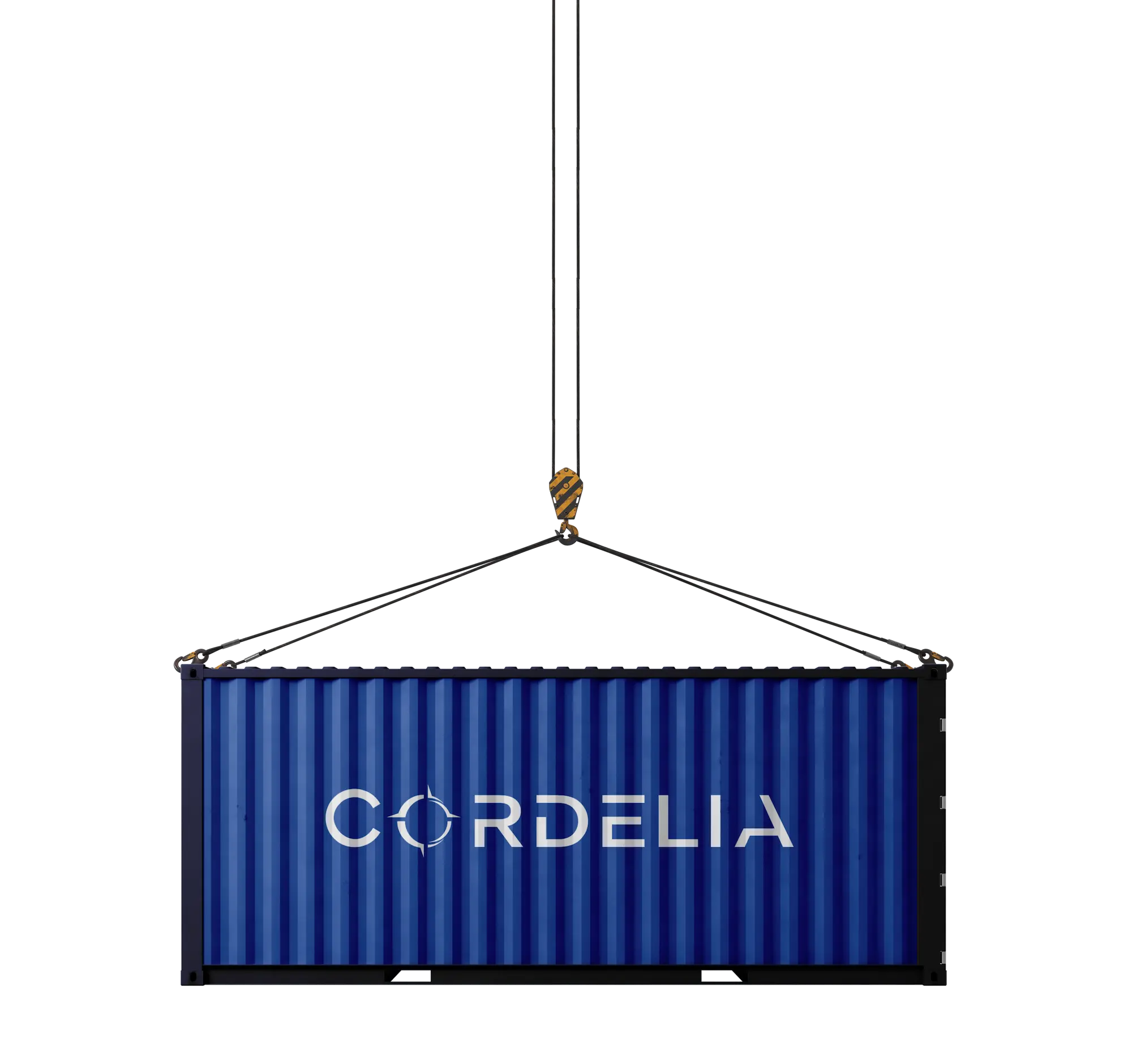Cordelia LLC Container